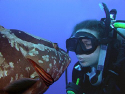 Grouper in Love!
 by Francine Grenier 